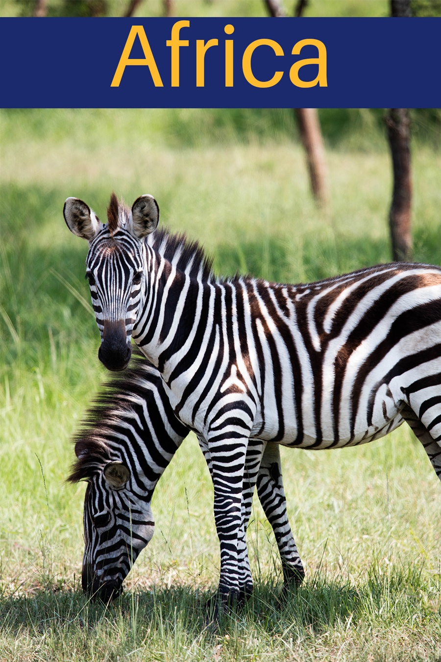 Visit our Africa Page on Reflections Enroute.