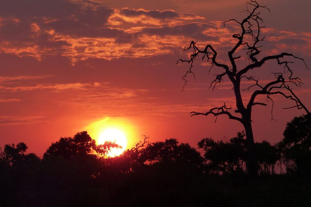 A gorgeous flame-red sunrise in Chobe National Park.