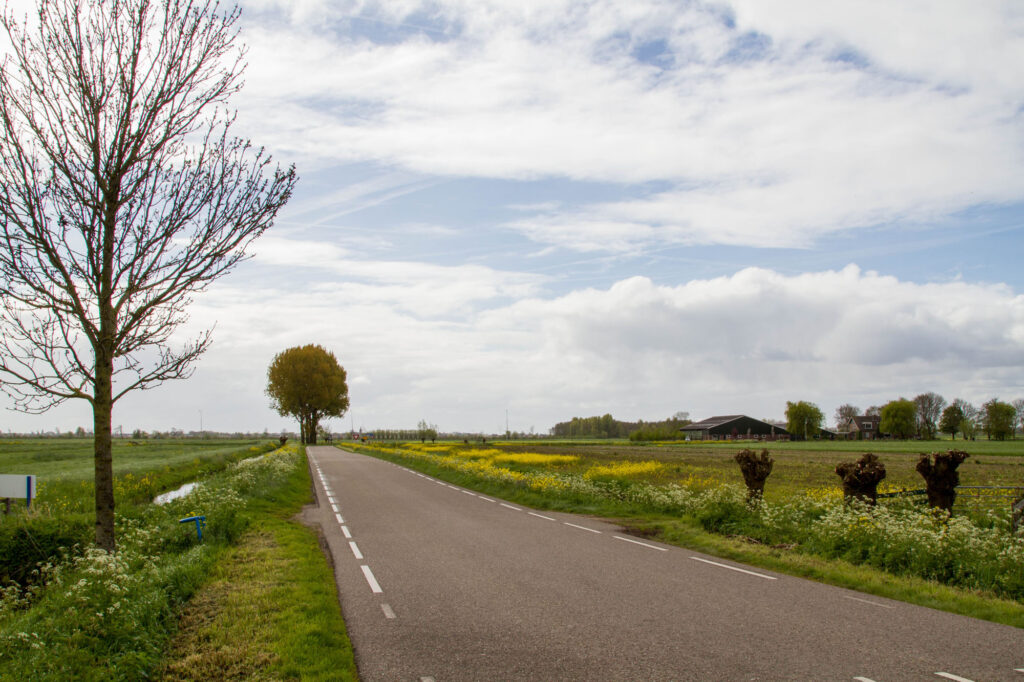 Dutch road.