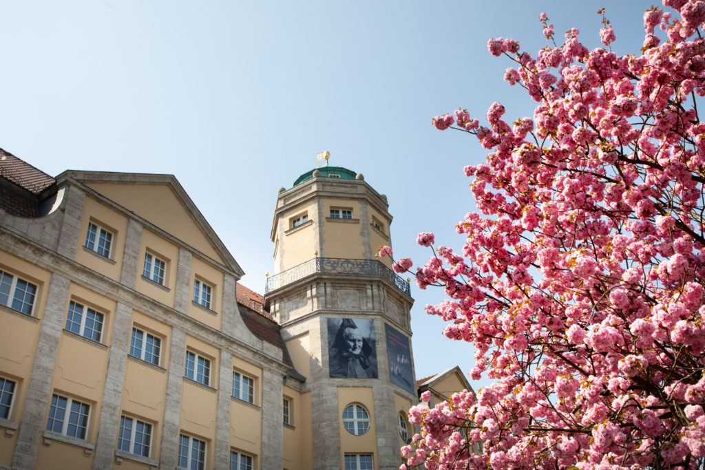 This museum is well worth a visit anytime, but go when the cherry blossoms are blooming!