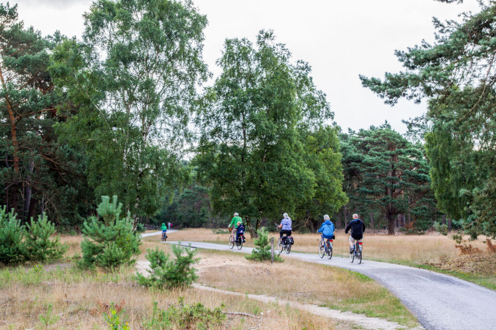 Bikes on a path through the national park of Hoge Veluwe, Netherlands.