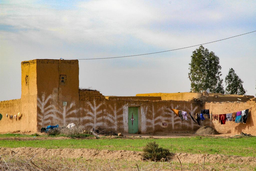 A stucco house with a green door and plants painted on the walls.