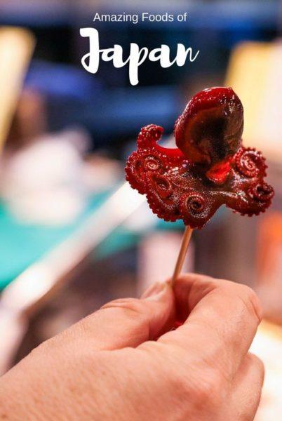 The best thing about a visit to Japan is discovering the best Japanese foods!