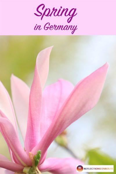 Best Places to Go in Germany during Spring