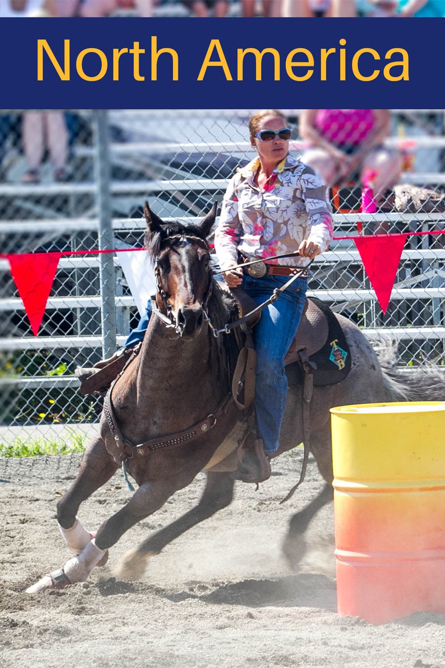 Visit our North America Page on Reflections Enroute.