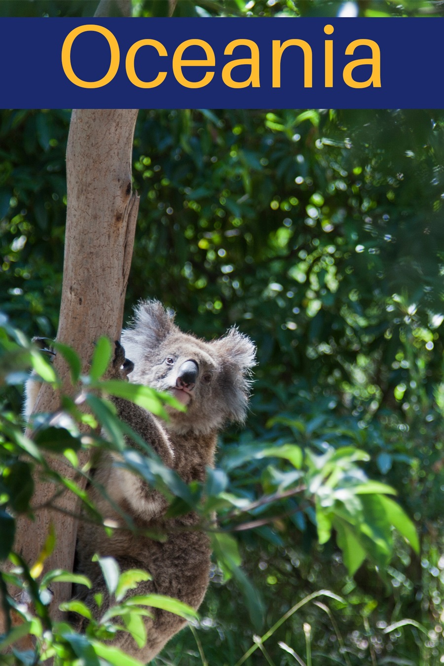 Visit our Oceania Page on Reflections Enroute.