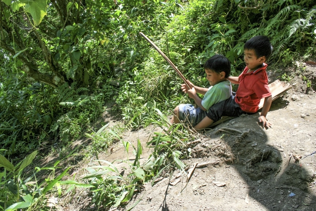 Leaf Sliding Philippines.