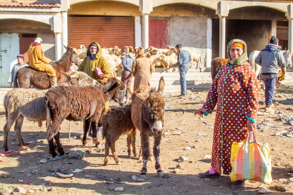 A couple with donkeys for sale at the Azrou Berber Market.