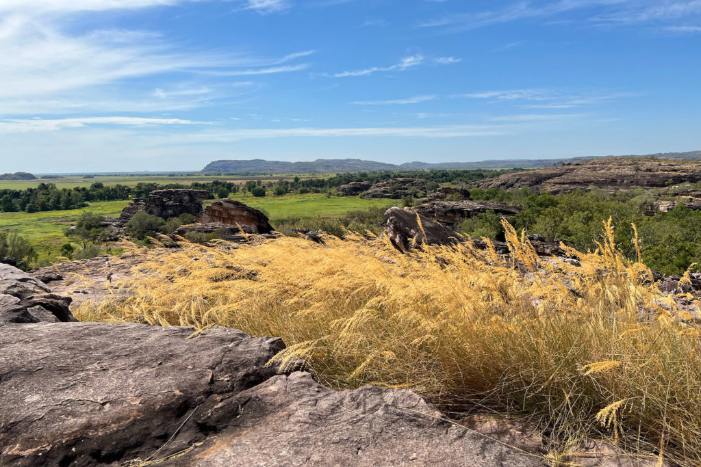 Overlooking the Nadab floodplain from the top of Ubirr Rock in Kakadu National Park.