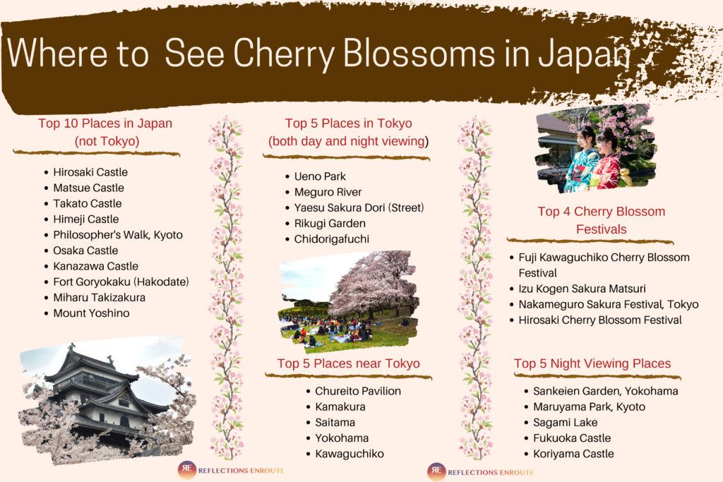 Where to See Cherry Blossoms in Japan Infographic.