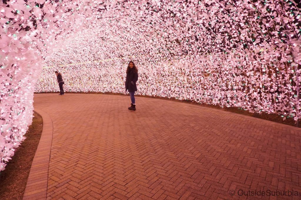 Where to go in winter in Japan? Find an illumination to enjoy like at Nabana no Sato.