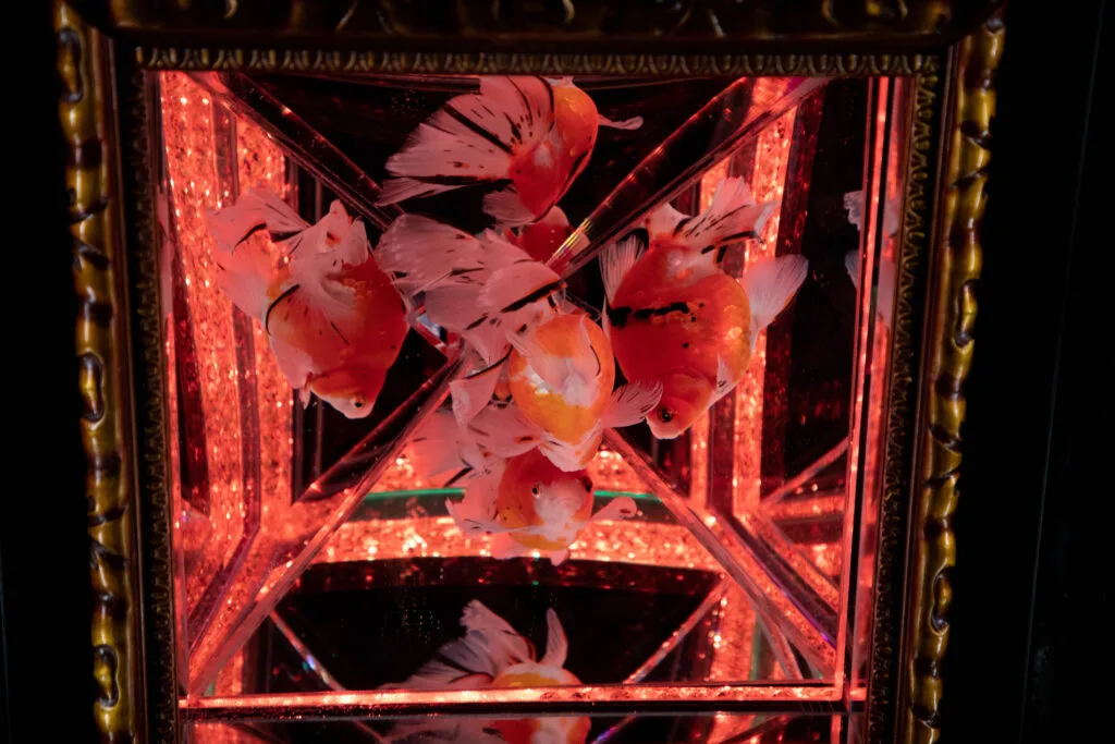 Art Aquarium in Ginza is a Tokyo museum you should not miss.