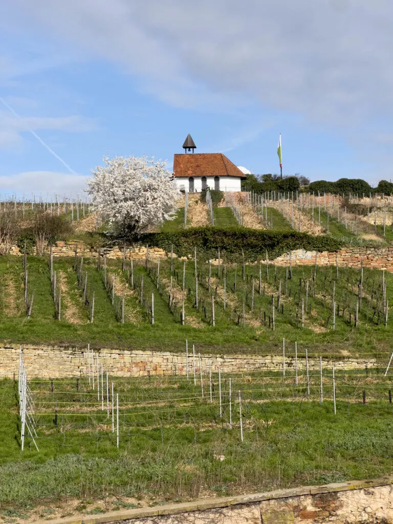 St. Michael's Chapel, Bad Dürkheim.