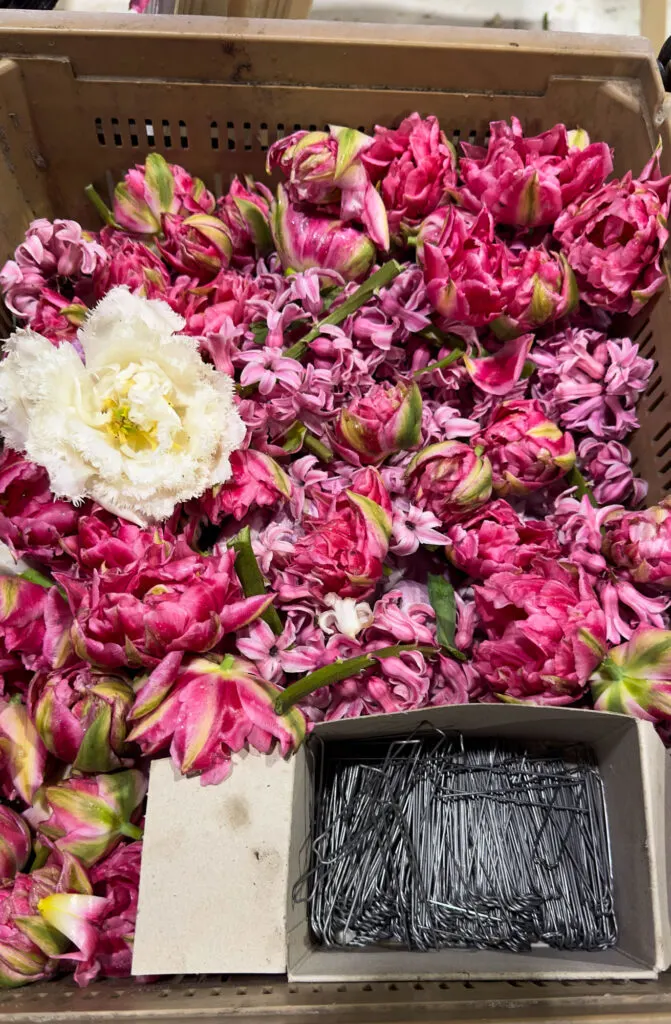 Flowers that are pinned to decorate the floats.