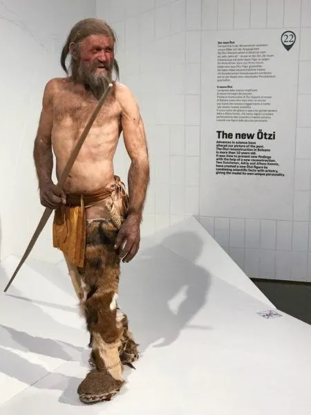 Meet Oetzi the iceman at the South Tyrol Museum of Archaeology, a Top Ten Bozen Attraction.