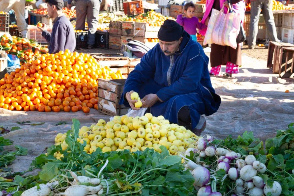A man picks apples to buy from a huge pile in the Azrou Berber Market.