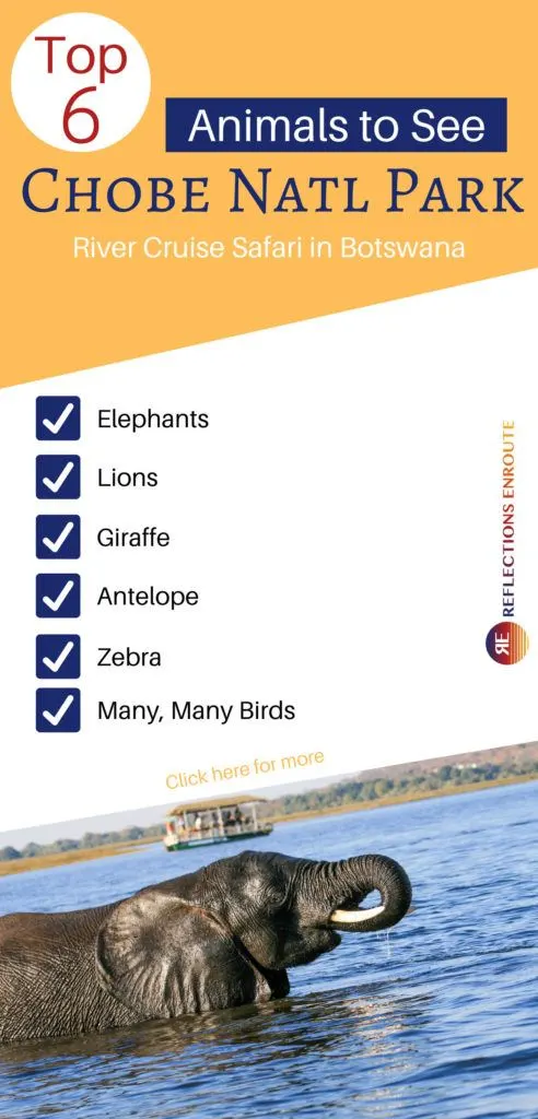 Chobe National Park River Cruise Safari - Boat and Elephant!