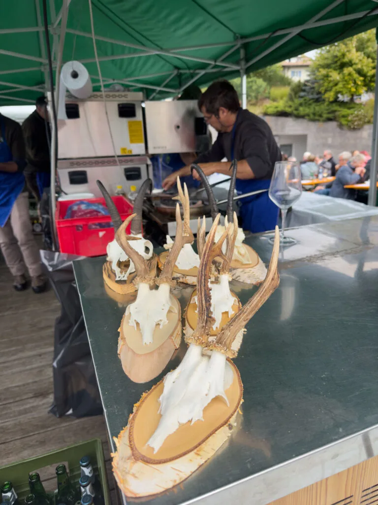 Venison sandwich, a yummy treat, found at the Cow Festival of Castelrotto.