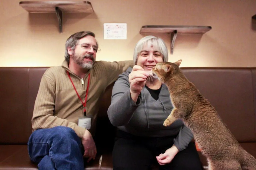 A cat comes for a treat.