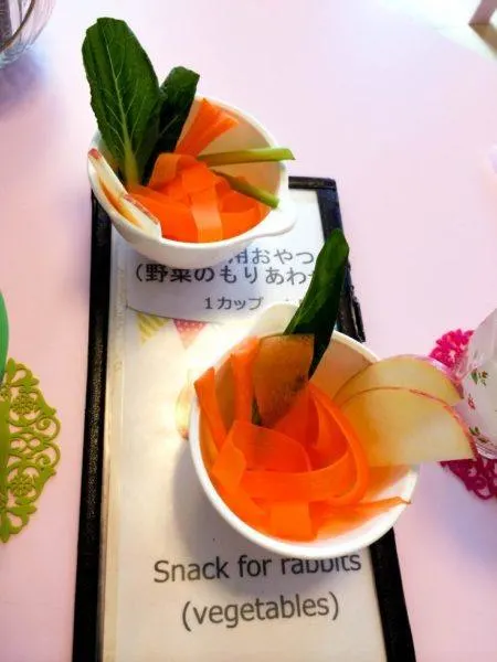 Carrots, apples, and more for rabbit food with a menu at the rabbit cafe in Tokyo.