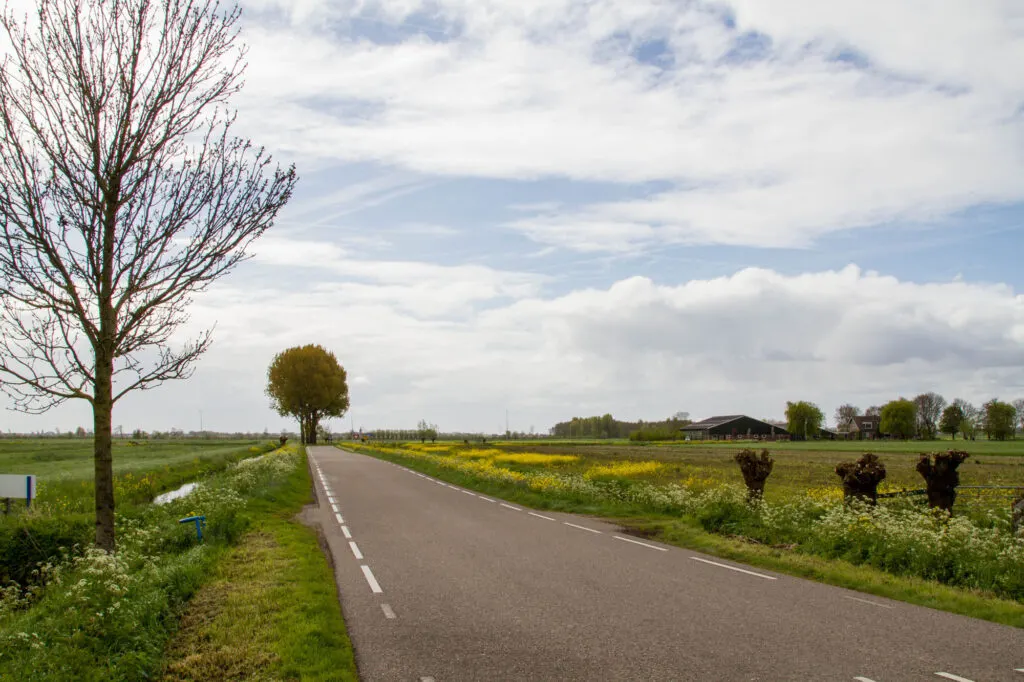 Dutch road.