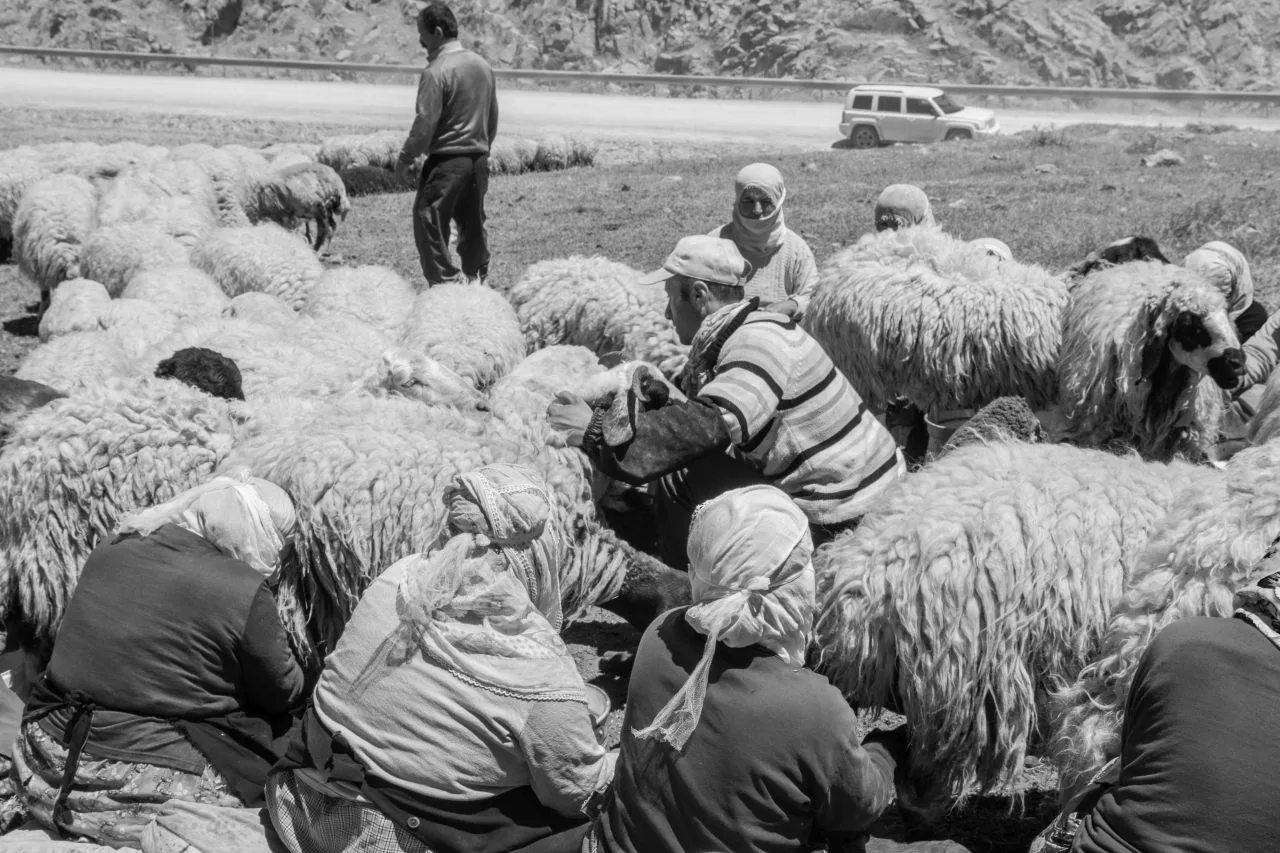 A Unique Turkish Experience - A Black and White Photo Essay