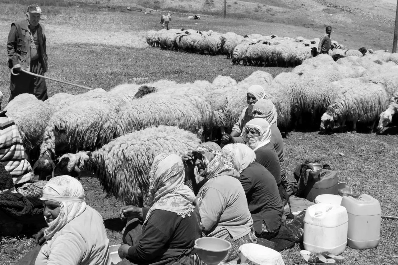 A Unique Turkish Experience - A Black and White Photo Essay