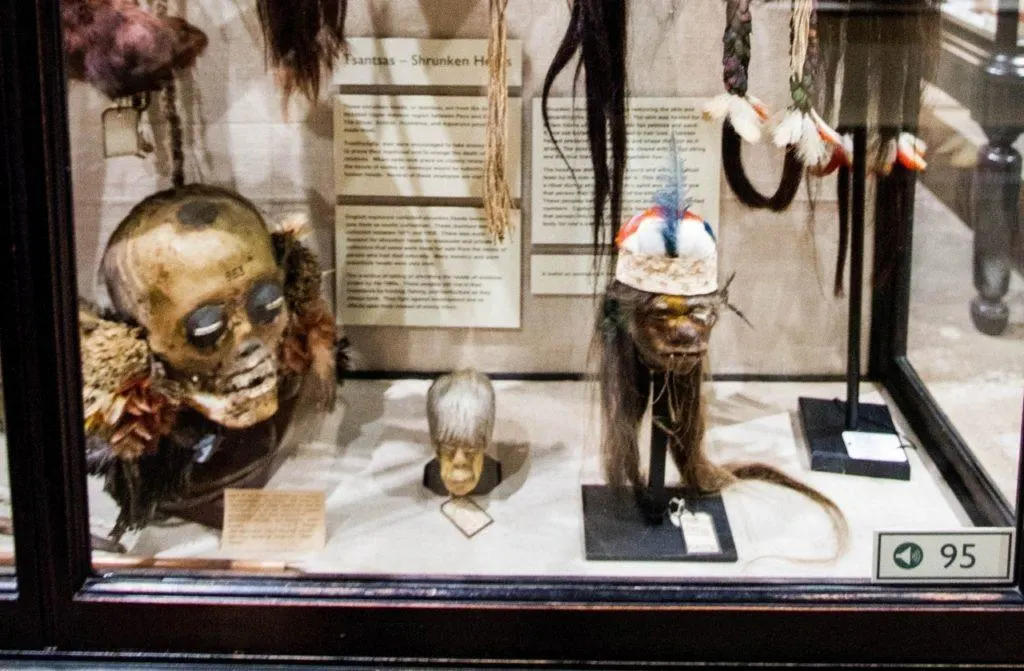Shrunken head display at Pitt Rivers Museum.