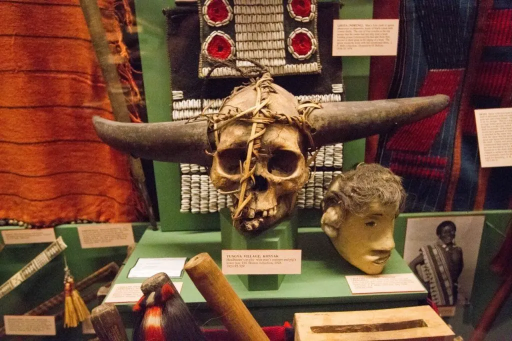 African tribal items on display at Pitt Rivers.