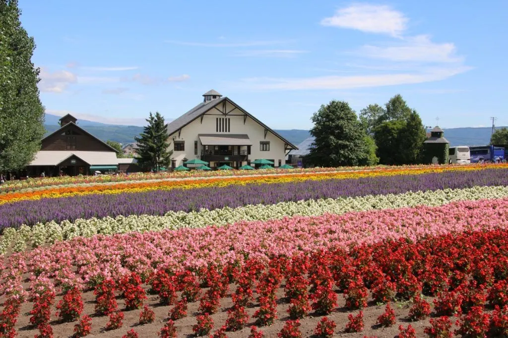 Summertime in Japan brings flowers and in Hokkaido that means lavender. Try the ice cream!