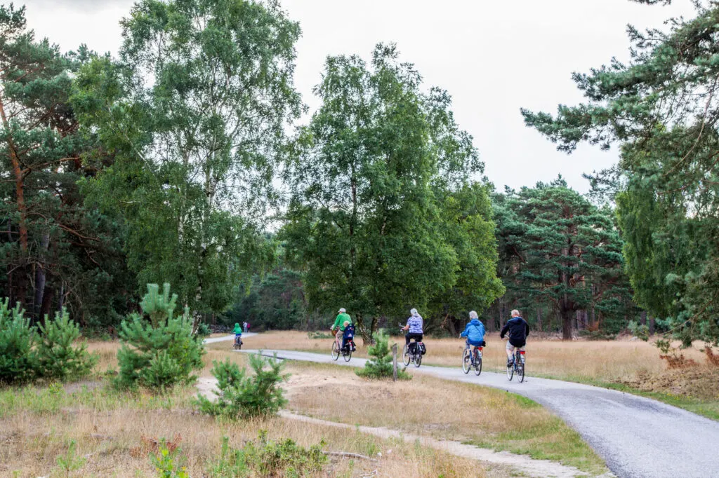 Bikes on a path through the national park of Hoge Veluwe, Netherlands.