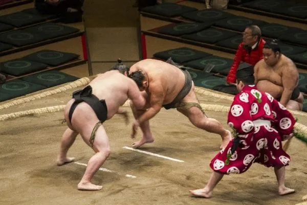 The wrestling begins.