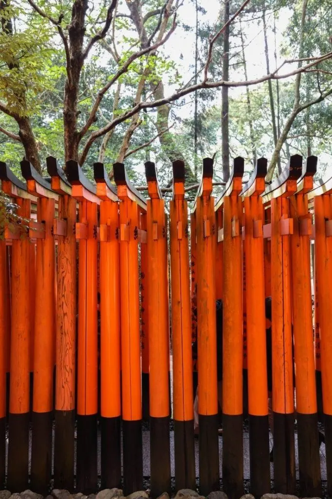 Side view of closely packed Torii gates at Fushimi Inari shrine.
