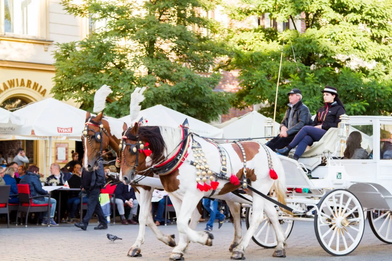 Krakow - Horse-drawn cart.