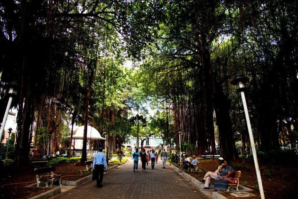 Things to do in Port Louis should include relaxing in the Jardin de la Companie.