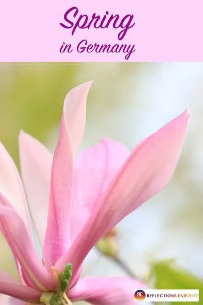 Best Places to Go in Germany during Spring