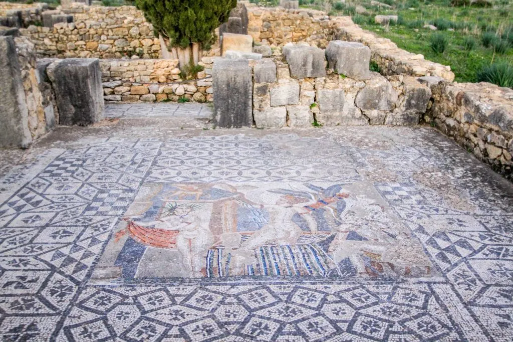 The mosaic floor in the House of Venus features Diana and her Nymph and is almost entirely made of blue and white tile.