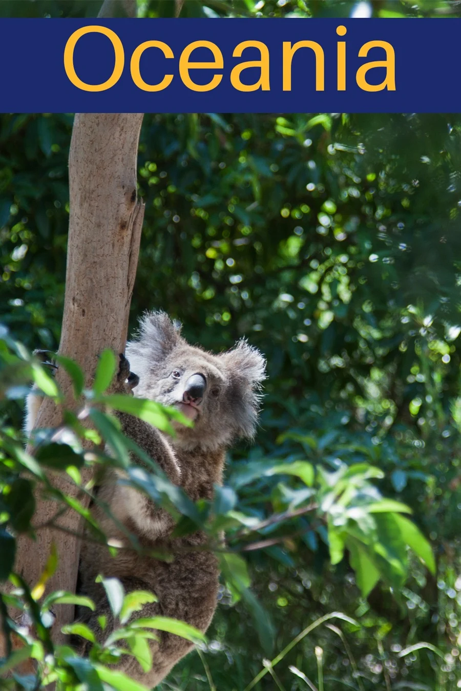 Visit our Oceania Page on Reflections Enroute.