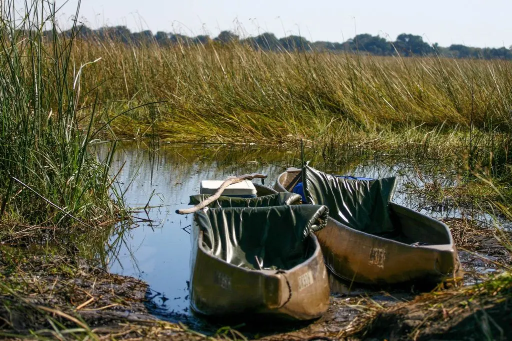 The guides have added padded seating to the dugout-like boats, and we’re ready for a Mokoro Okavango safari.