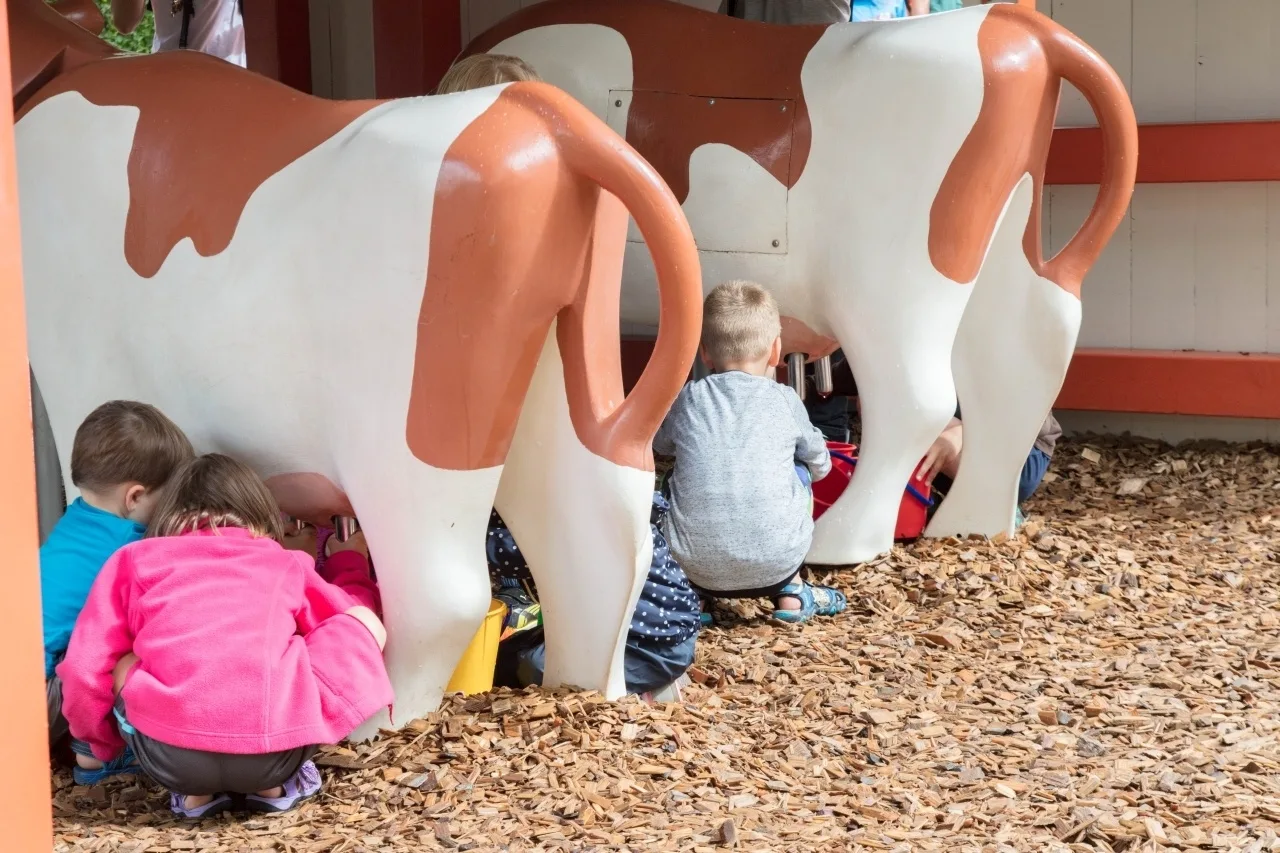 You can even grab a bucket and milk a Playmobil cow.