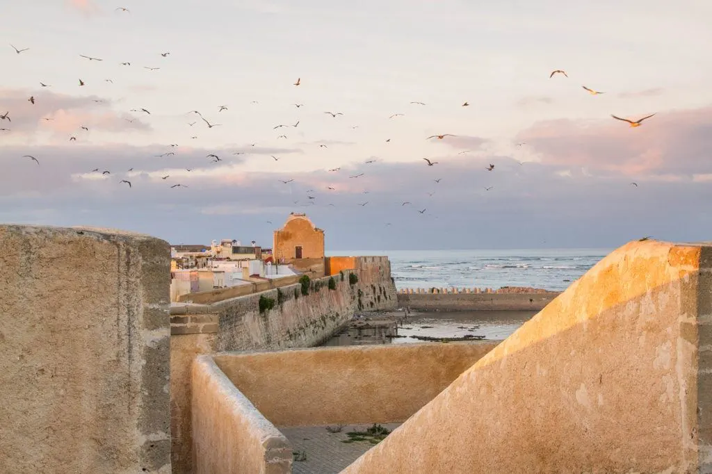 View of the old city walls and Atlantic Ocean with a flock of seagulls flying overhead.
