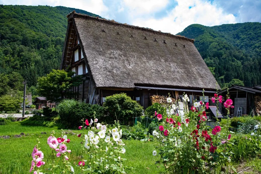 Lush green forest and beautiful flowers adorn the traditional city of Shirakawago.