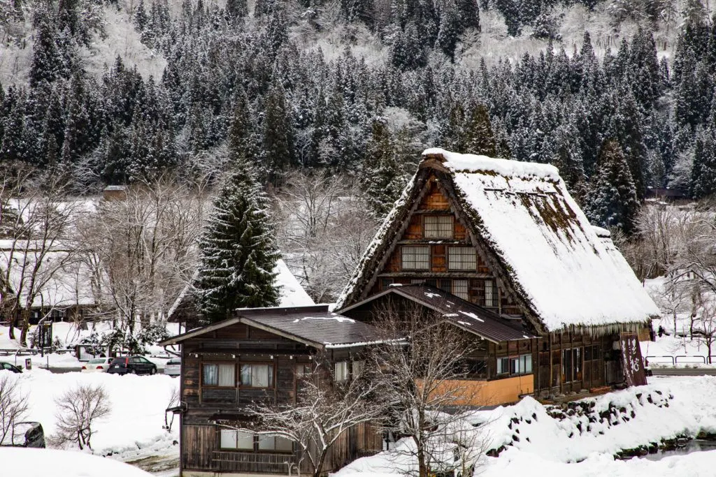 Snow on the ground and thatched roof.