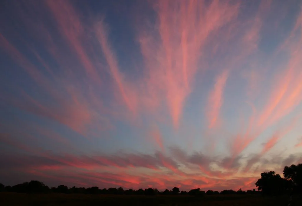 Sunset in Seronga Bostwana with beautiful pink streaks fanned out across the sky.