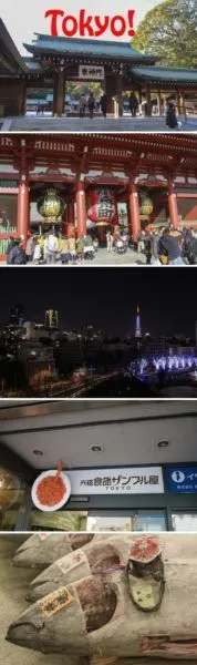 All the best things to do in Tokyo!