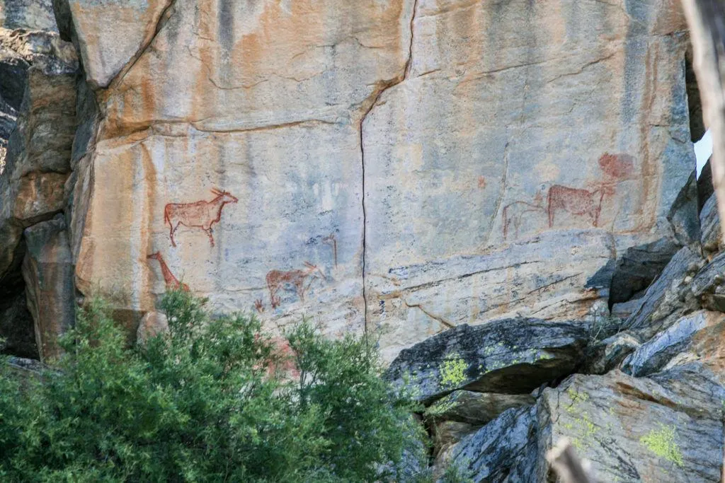 Rock paintings at Tsodilo, where humans have lived or stopped over for thousands of years.