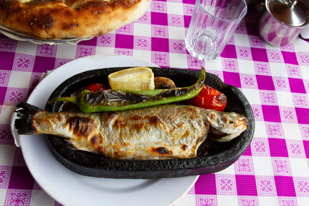 The fresh trout in Bulgaria is a must-try food.