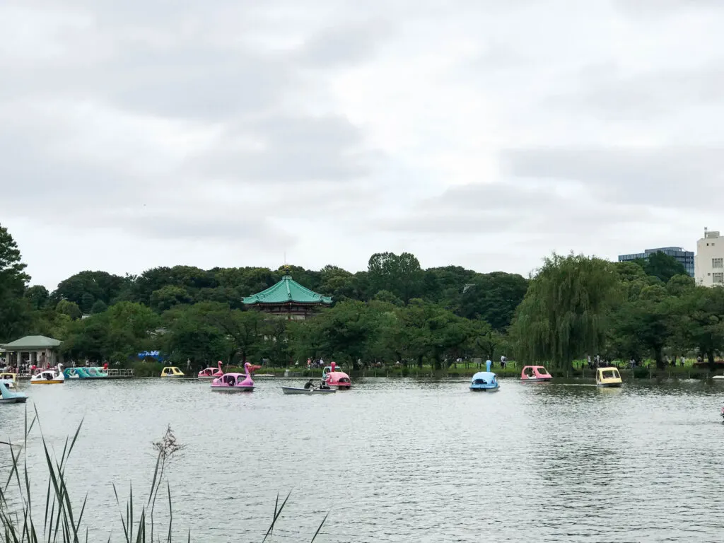 Ueno park is popular with the locals for renting a paddle boat and enjoying being outside.