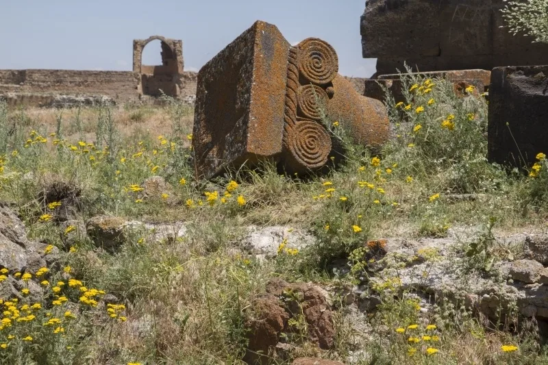 untitled (214 of 235)-8