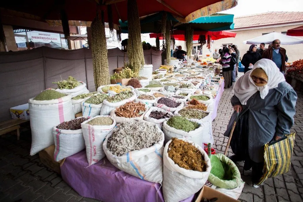 Turkey Travel Blog - Look for anything and everything at the weekend market. This lady is interested in the myriad of spices.